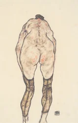 Female Nude from the Back